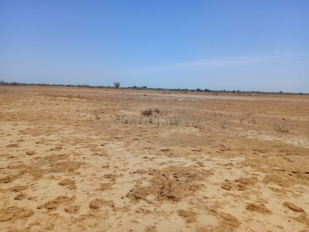 Haute Productivité : Vaste terrain agricole de 45 hectares vers Diama – Saint-Louis