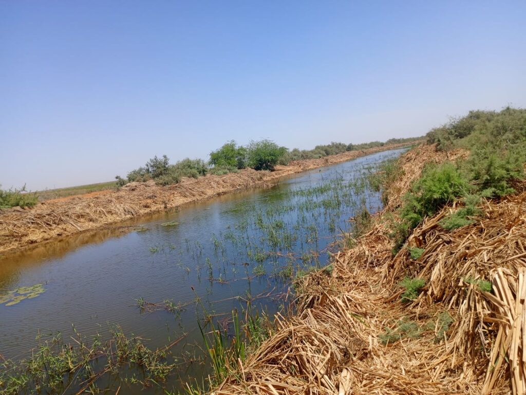 Haute Productivité : Vaste terrain agricole de 45 hectares vers Diama – Saint-Louis