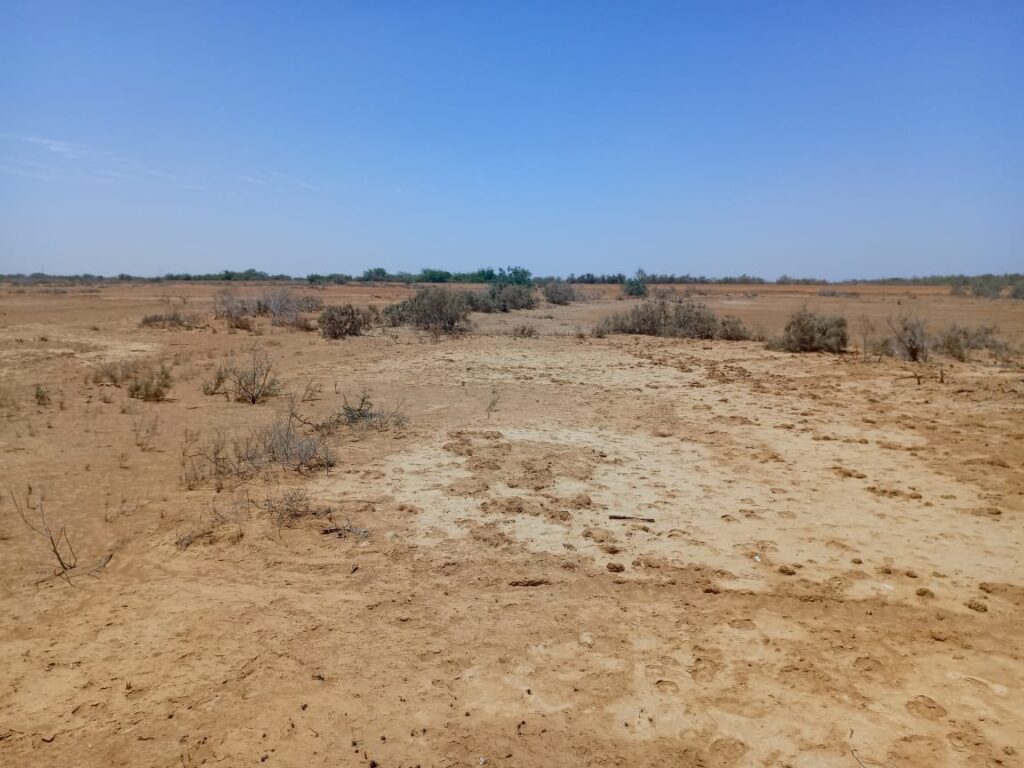 Haute Productivité : Vaste terrain agricole de 45 hectares vers Diama – Saint-Louis