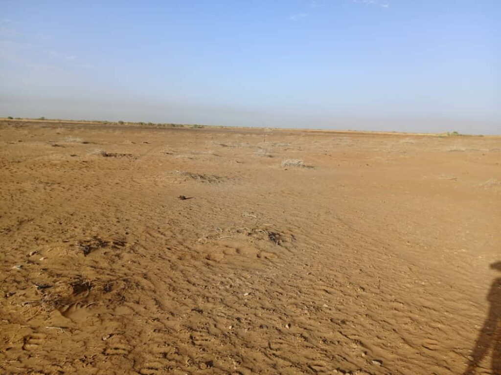 38 hectares à fort potentiel : l’emplacement idéal vers Diama – Saint-Louis