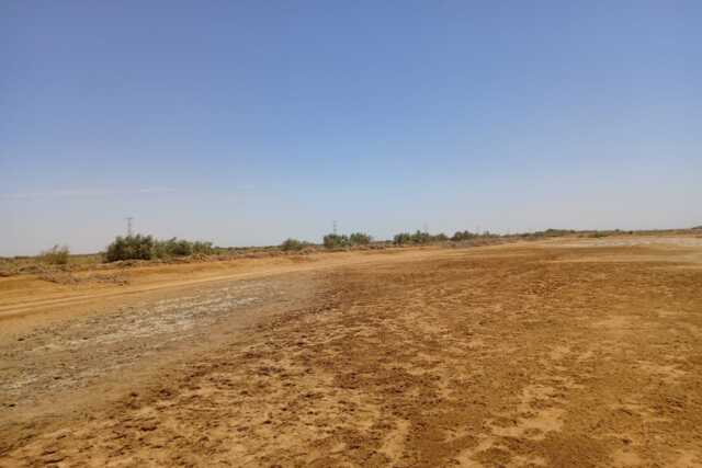 Terrain Agricole de 60 hectares vers Diama – Saint Louis