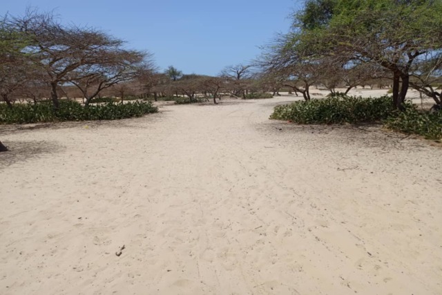 Terrain Agricole de 7.691 m² vers Gandiole