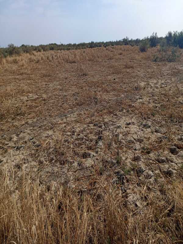 Terrain Agricole de 25 Hectares vers Diama – Saint – Louis
