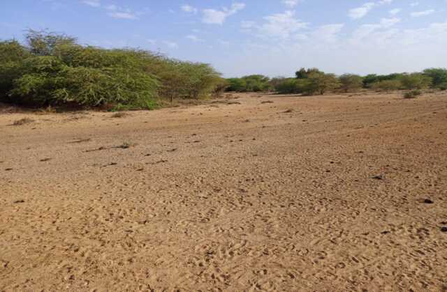 Location de Terrain Agricole de 3,48 hectares vers Diama – Saint – Louis