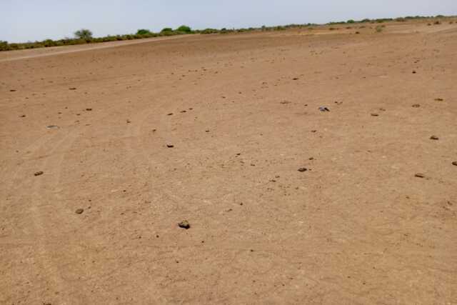 Terrain Agricole de 8,96 hectares vers Diama – Saint – Louis