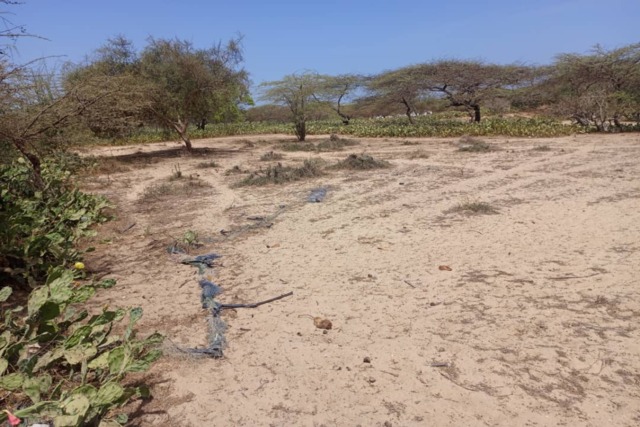 Terrain Agricole de 1513 m² vers Diama – Saint – Louis