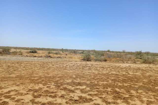 Terrain Agricole de 60 hectares vers Diama – Saint Louis