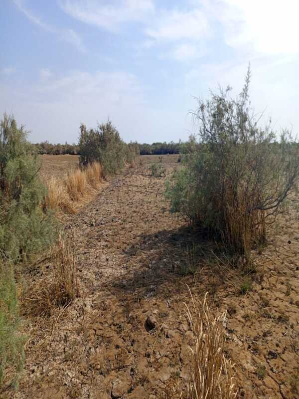 Terrain Agricole de 25 Hectares vers Diama – Saint – Louis