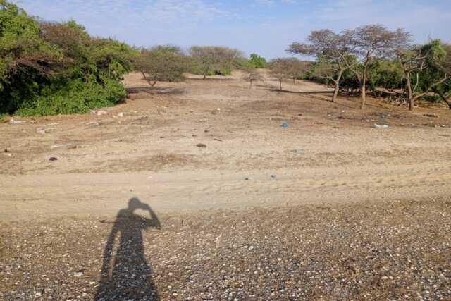 3,91 ha stratégiques à Diama vers Saint Louis, enbordure de la Route