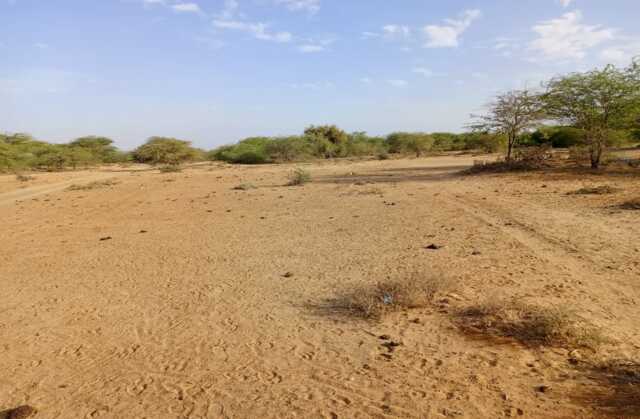 Location de Terrain Agricole de 3,48 hectares vers Diama – Saint – Louis