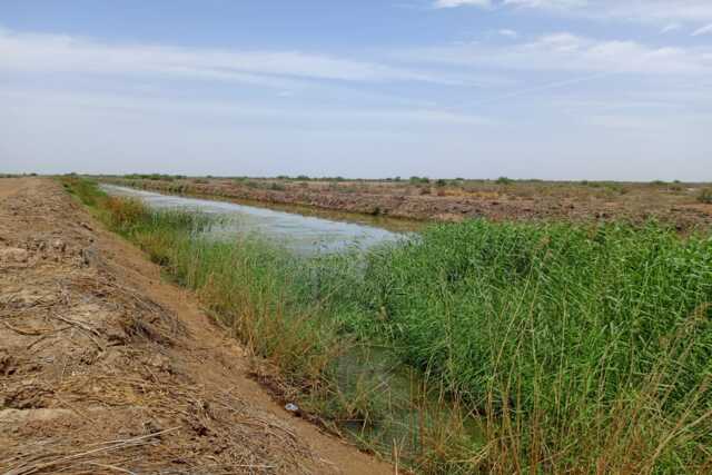 Terrain Agricole de 8,96 hectares vers Diama – Saint – Louis