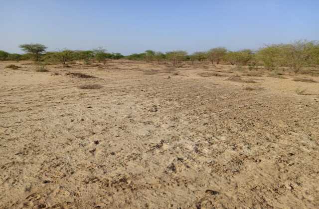 Location de Terrain Agricole de 3,48 hectares vers Diama – Saint – Louis