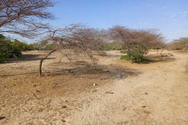 3,91 ha stratégiques à Diama vers Saint Louis, enbordure de la Route