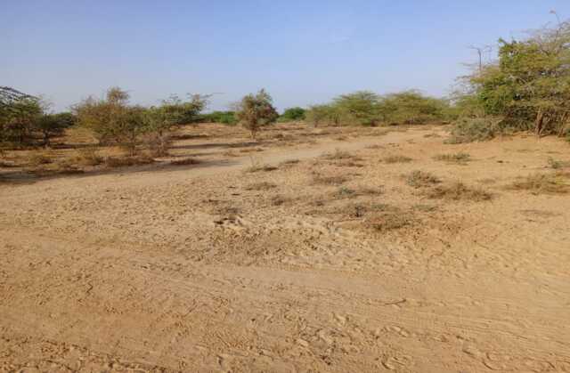 Location de Terrain Agricole de 3,48 hectares vers Diama – Saint – Louis