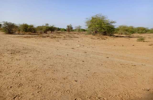 Location de Terrain Agricole de 3,48 hectares vers Diama – Saint – Louis