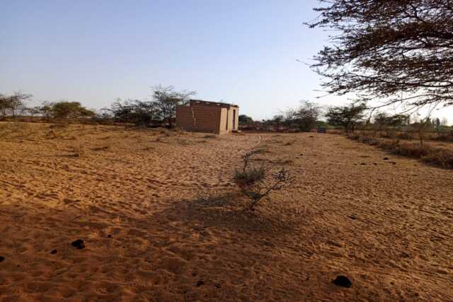 Verger de 2,55 Hectares vers Diama – Saint – Louis