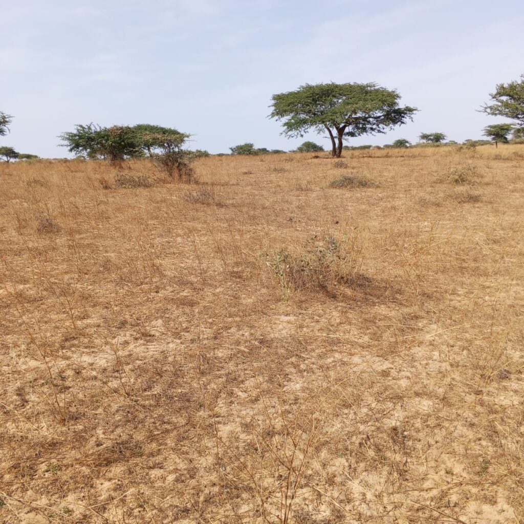 Terrain agricole de 10 hectares vers Kab Gaye