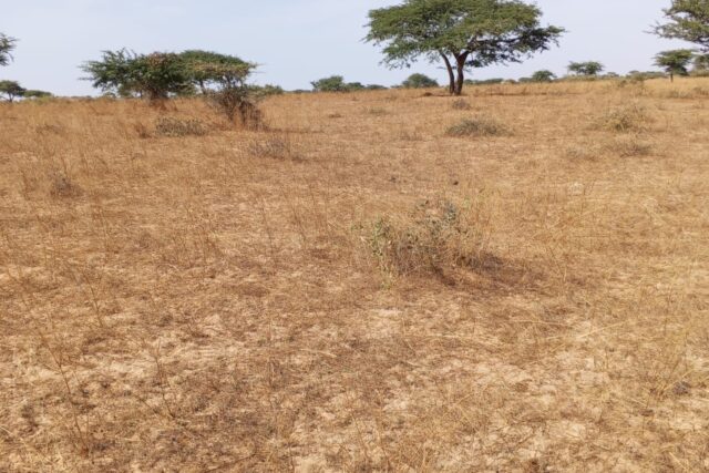 Terrain agricole de 10 hectares vers Kab Gaye
