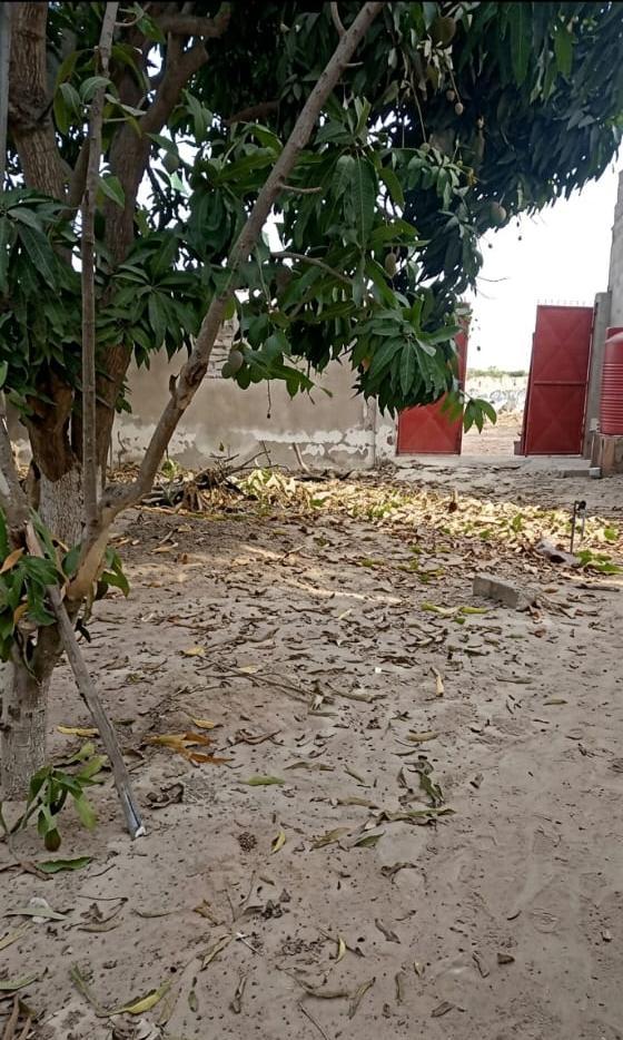 Terrain de 5.694 m² prêt pour projet de morcellement vers Notto Gouye – Diama