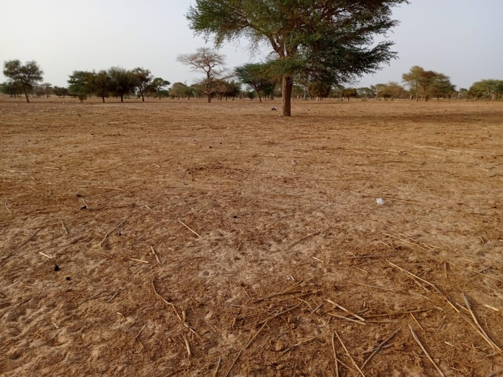 Terrain Industriel de 4.871 m² vers Keur Samba Kane