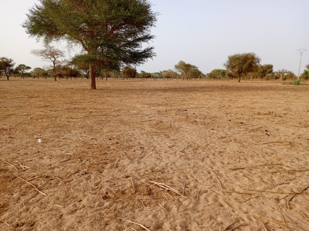 Terrain Industriel de 4.871 m² vers Keur Samba Kane