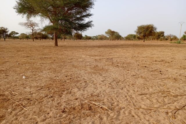 Terrain Industriel de 4.871 m² vers Keur Samba Kane