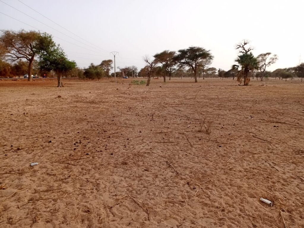 Terrain Industriel de 4.871 m² vers Keur Samba Kane