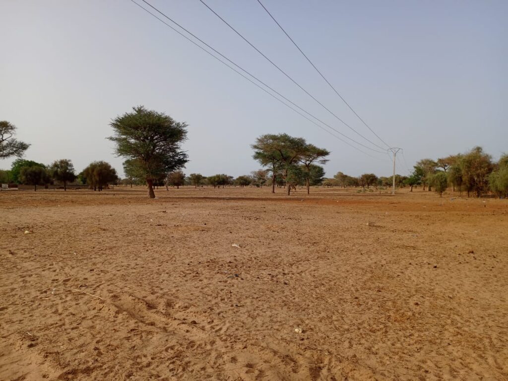 Terrain agricole de 9.058 m² vers Keur Samba Kane