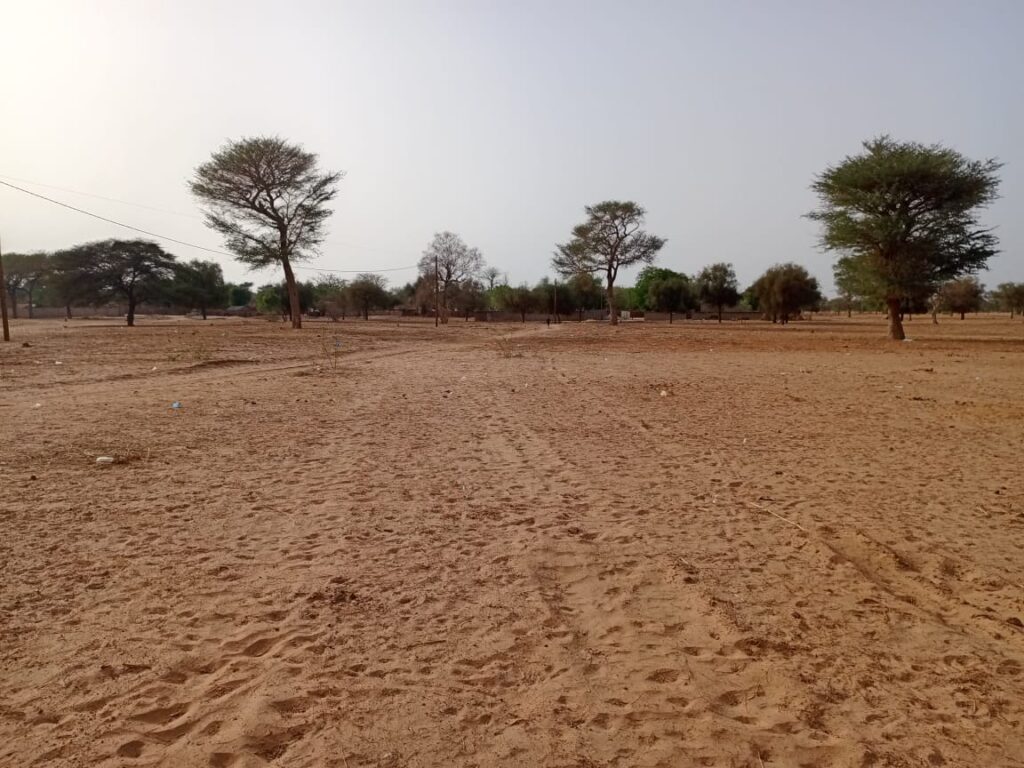 Terrain agricole de 9.058 m² vers Keur Samba Kane