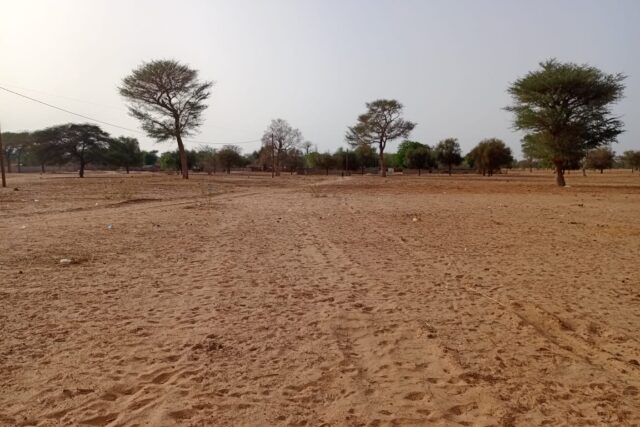 Terrain agricole de 9.058 m² vers Keur Samba Kane