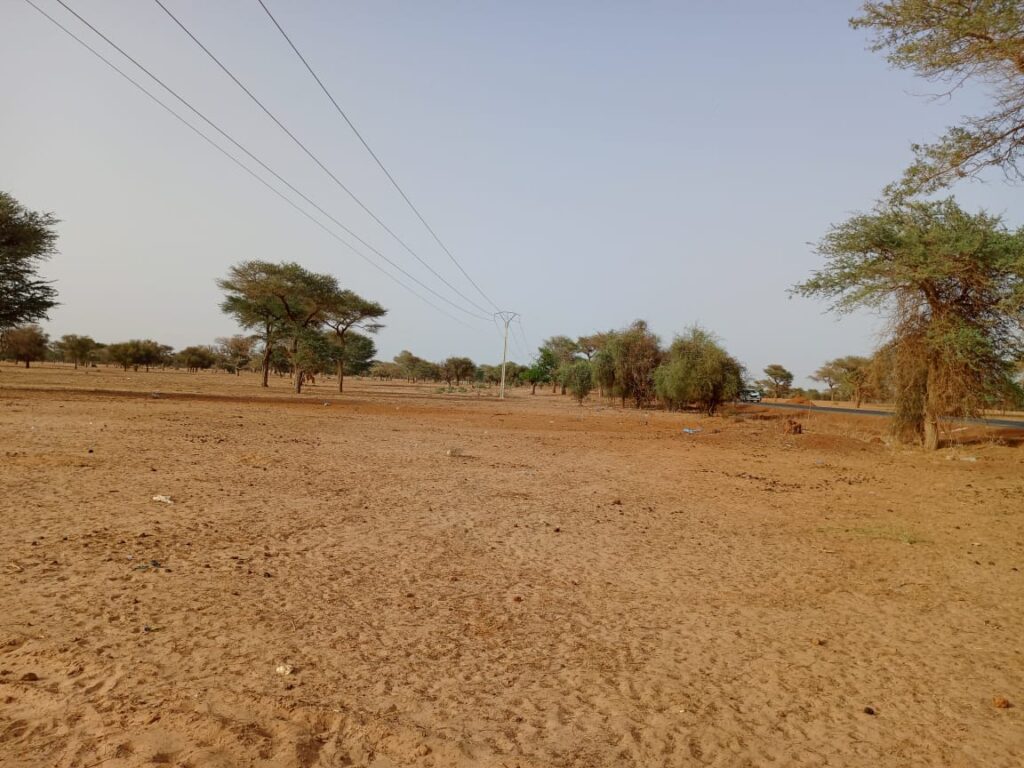 Terrain agricole de 9.058 m² vers Keur Samba Kane