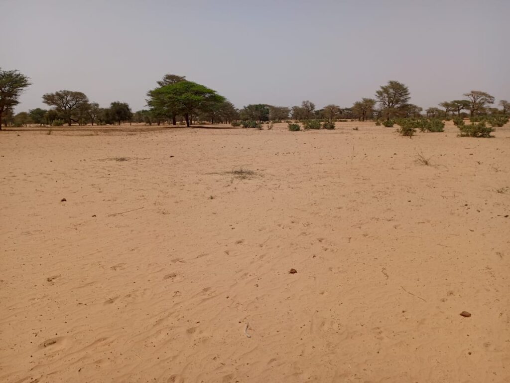 Terrain Agricole de 2,91 hectares vers Keur Samba Kane