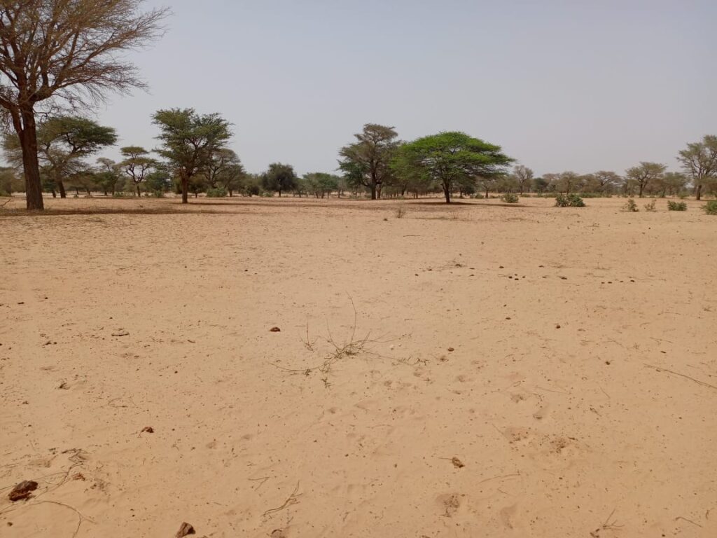 Terrain Agricole de 2,91 hectares vers Keur Samba Kane