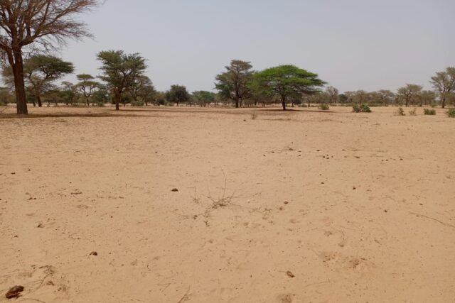 Terrain Agricole de 2,91 hectares vers Keur Samba Kane