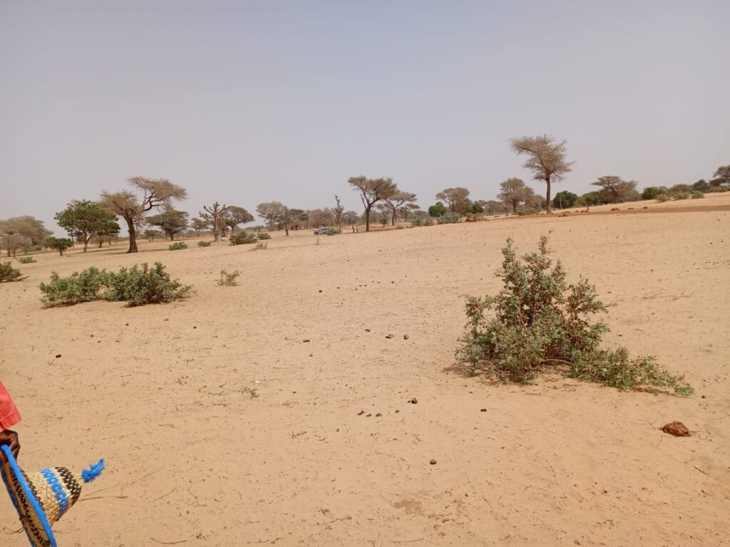 Terrain Agricole de 2,91 hectares vers Keur Samba Kane