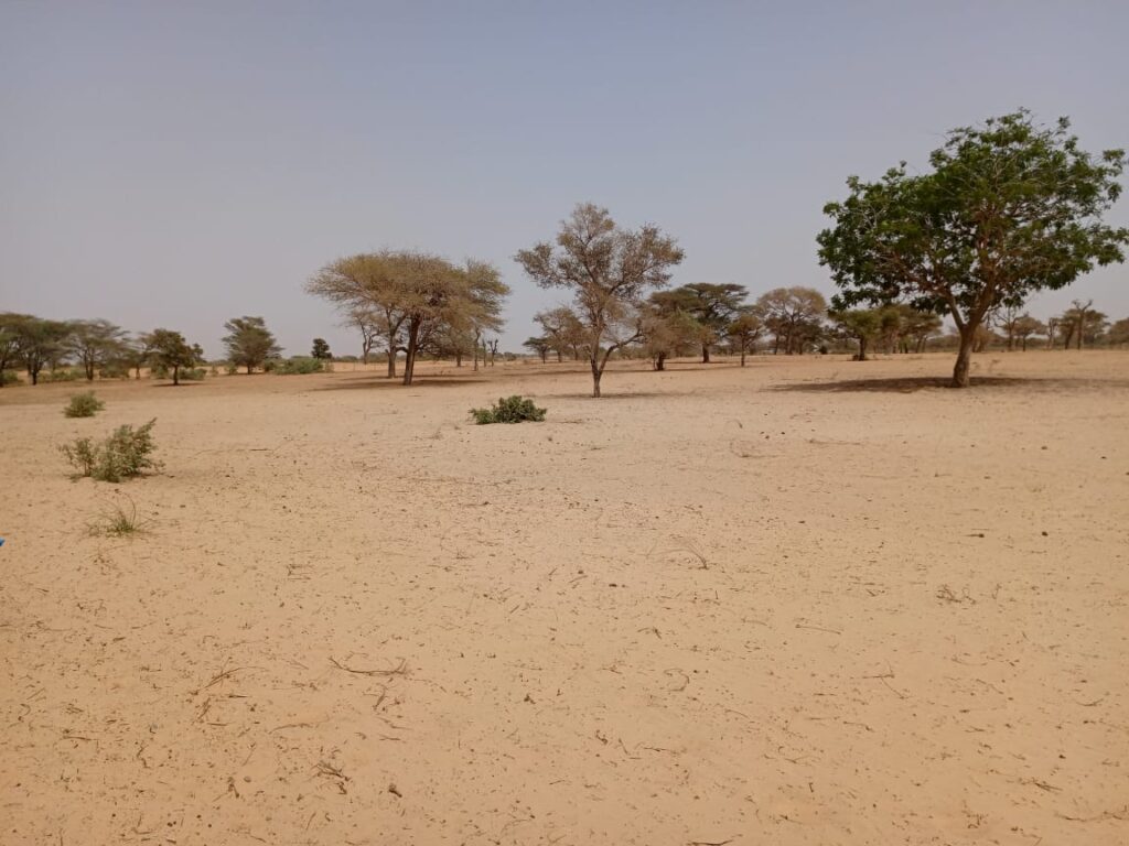 Terrain Agricole de 2,91 hectares vers Keur Samba Kane