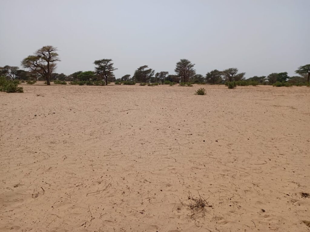 Terrain agricole de 4,88 hectares vers Keur Samba Kane