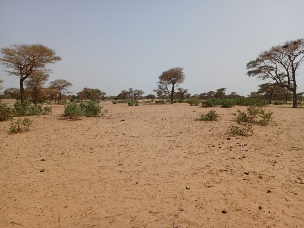 Terrain agricole de 4,88 hectares vers Keur Samba Kane