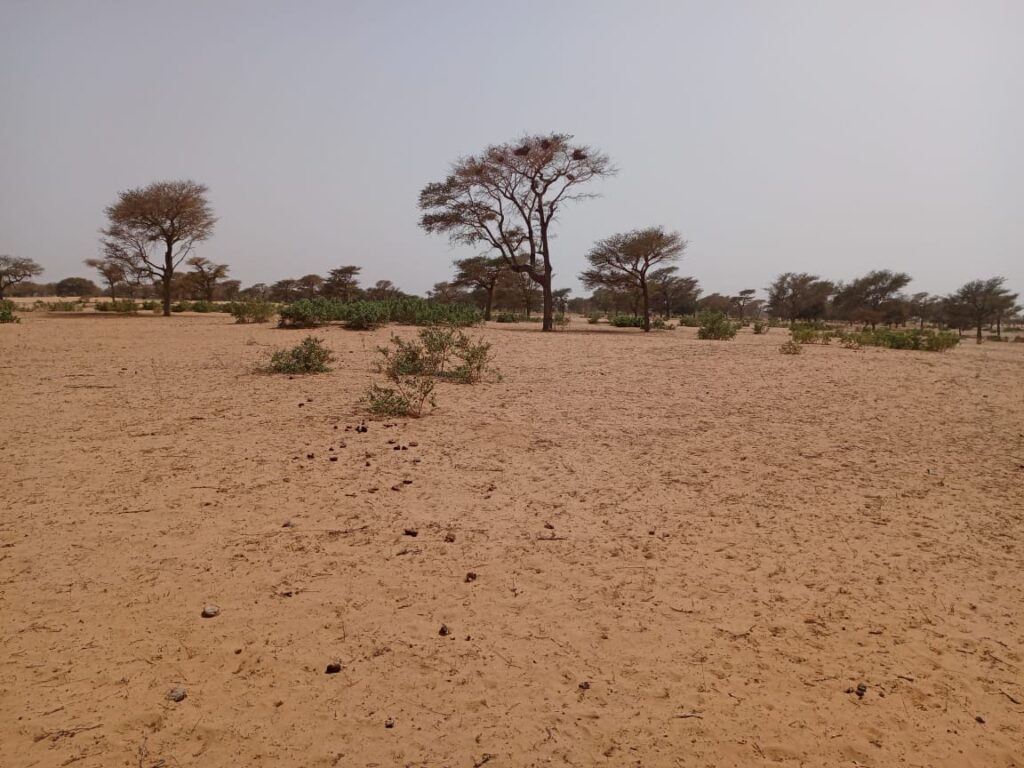 Terrain agricole de 4,88 hectares vers Keur Samba Kane
