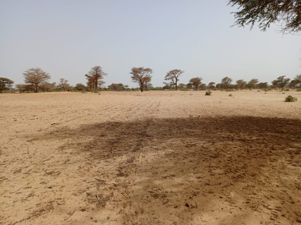 Terrain agricole de 4,88 hectares vers Keur Samba Kane