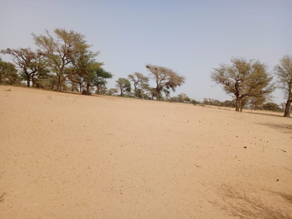 Terrain agricole de 4,88 hectares vers Keur Samba Kane