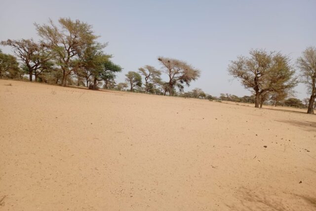 Terrain agricole de 4,88 hectares vers Keur Samba Kane