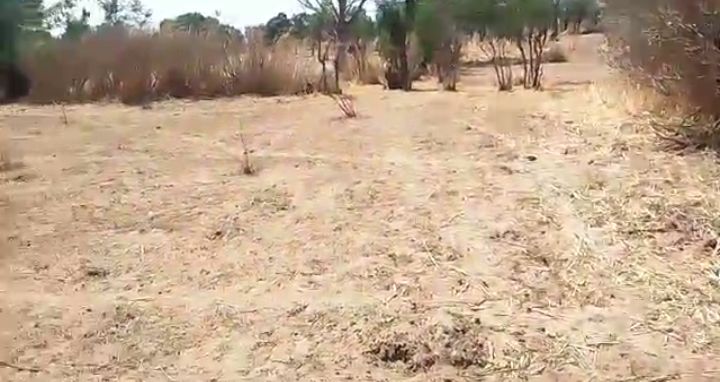 Terrain Agricole de 6.800 m² vers Notto Diobass – Thiès