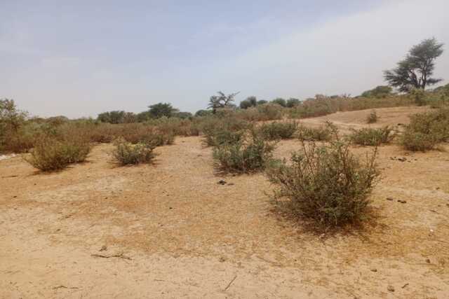 Terrain Agricole de 3,12 hectares vers Tassette – Thiès