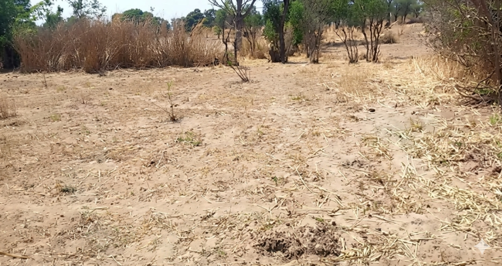 Terrain Agricole de 6.800 m² vers Notto Diobass – Thiès