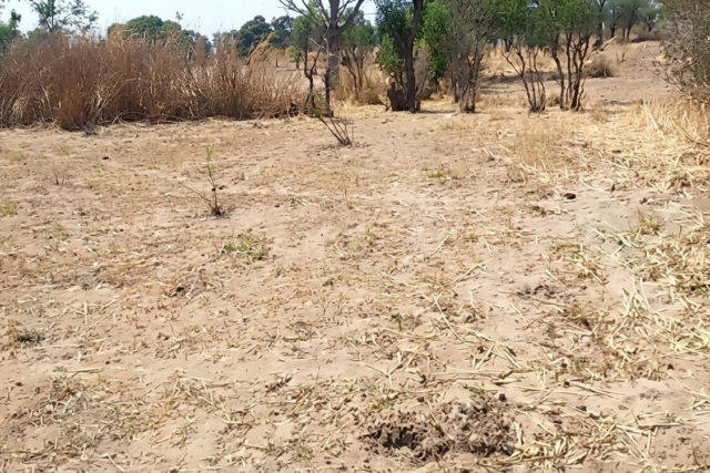 Terrain Agricole de 6.800 m² vers Notto Diobass – Thiès