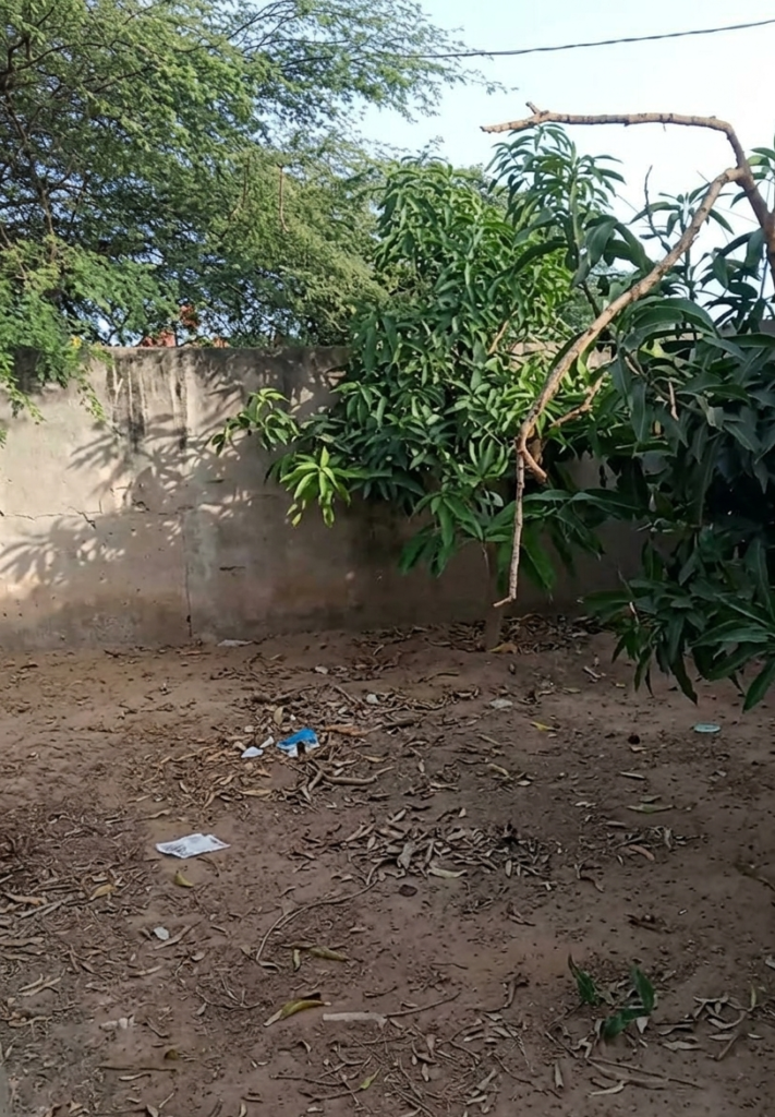Verger Agricole de 9000 m² vers Sindia – Mbour