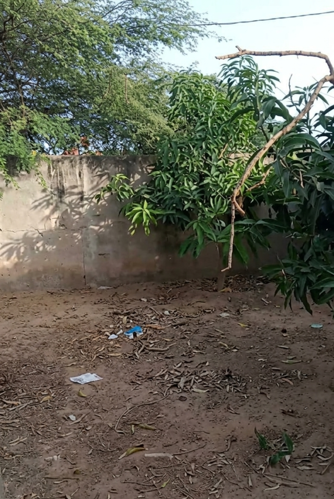 Verger Agricole de 9000 m² vers Sindia – Mbour