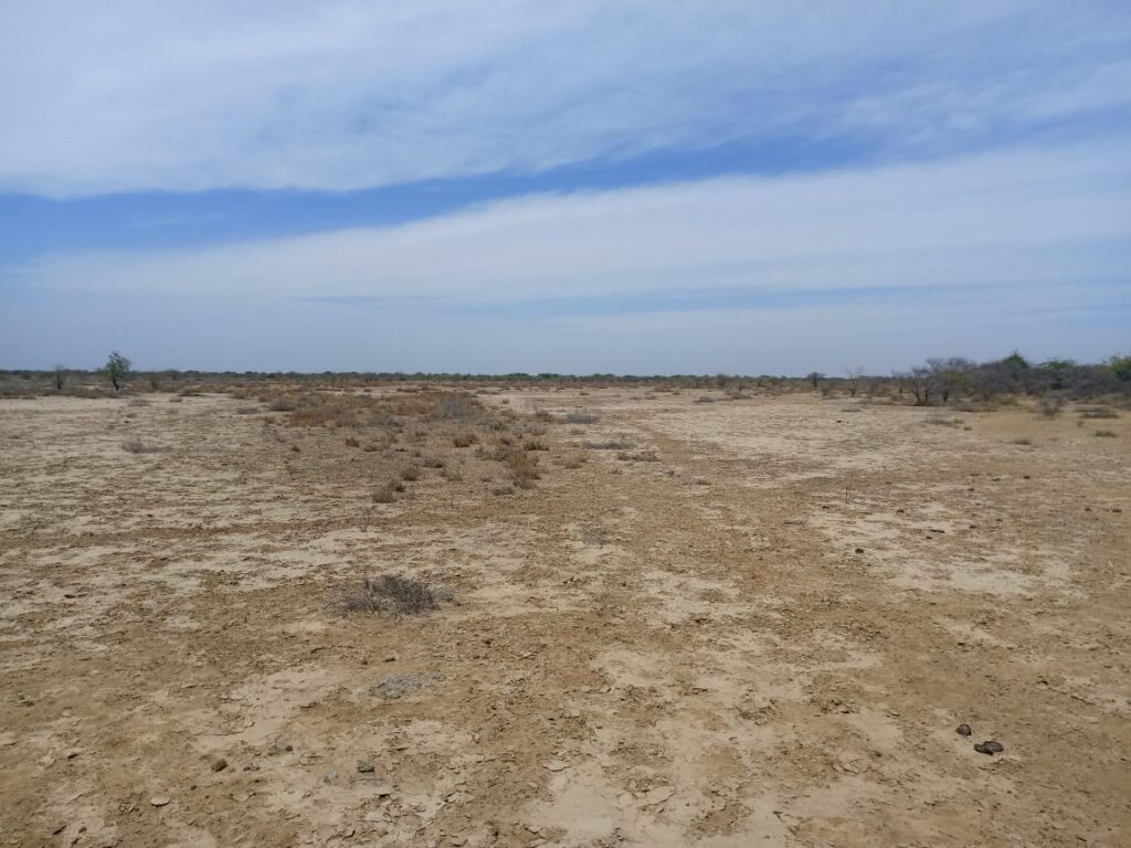Grand surface de 200 hectares vers Diama – Saint Louis