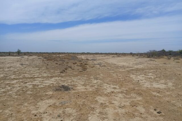 Grand surface de 200 hectares vers Diama – Saint Louis